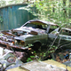 Illustration for article titled Massive Secret Mustang Junkyard Found In Rhode Island Forest